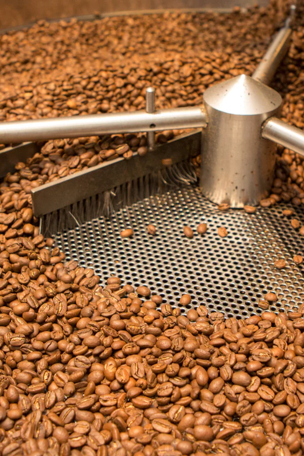 The Regenerative Coffee Revolution